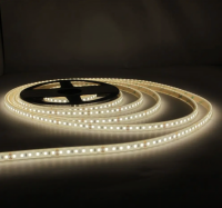 LED стрічка 24В DFN2835-120A4-IP68-24В 120-2835-24В-IP68 9,6Вт 850Лм Білий Нейтральний 4000K CRI 80 10мм